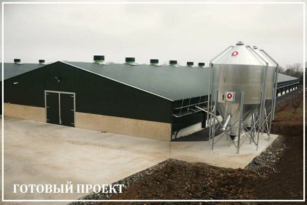 Этапы возведения птицефабрики от завода ВелесТент-брт